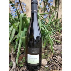 Sauvignon blanc sec 2024